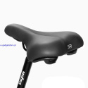 Rower elektryczny Eleglide T1 Step-Thru