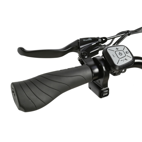 SAMEBIKE RS-A01 Pro-T elektryczny rower miejski - Zielony SAMEBIKE RS-A01 Pro-T elektryczny rower miejski - Zielony